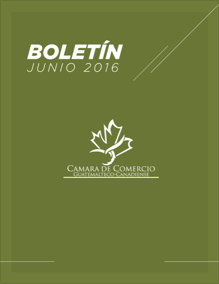 boletin-cancham-junio-2016