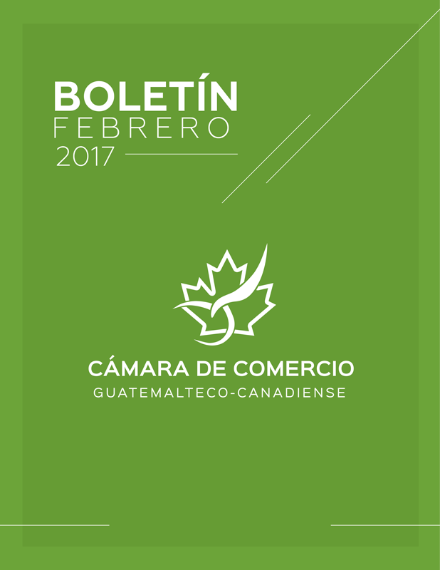 Boletin-febrero-2017